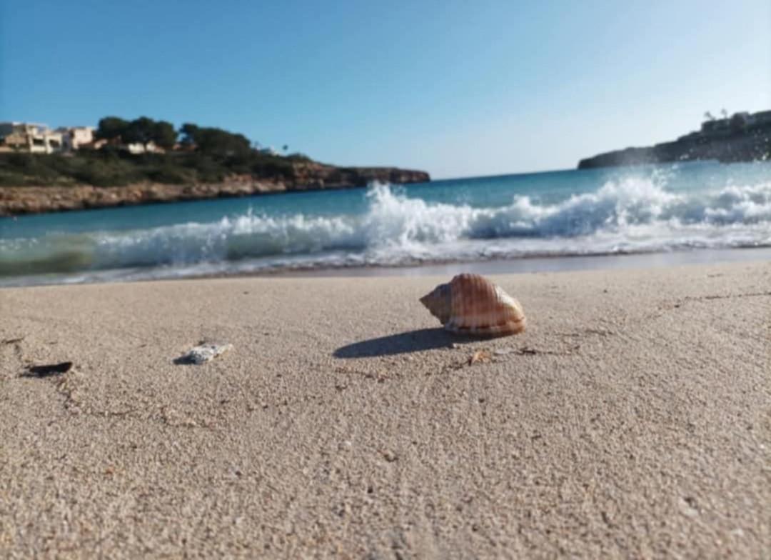 Apartamento Casa Calas de Mallorca